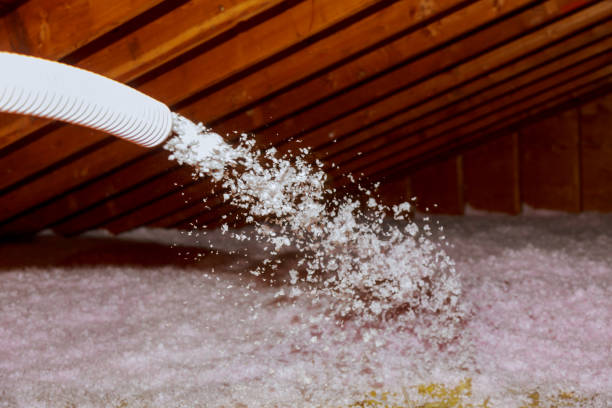 Best Blown-in Insulation in Mount Morris, IL