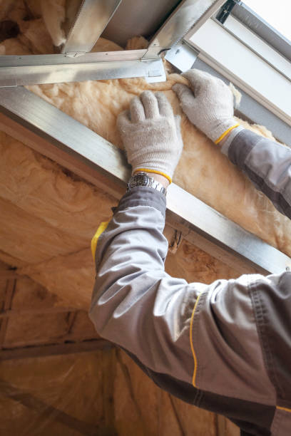 Best Fiberglass Insulation in Mount Morris, IL