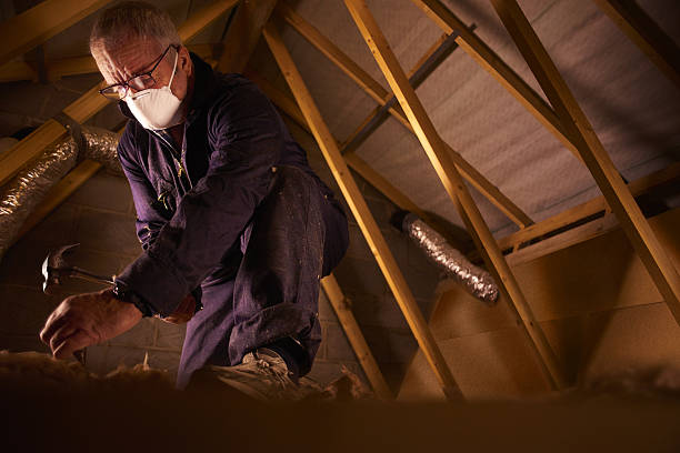 Best Insulation Maintenance and Repair in Mount Morris, IL